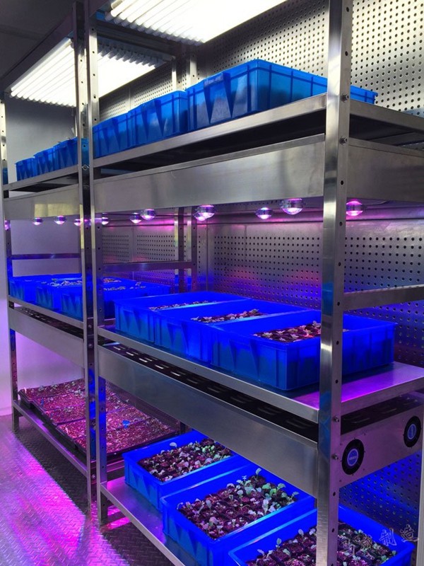 人工氣候室 人工氣候室