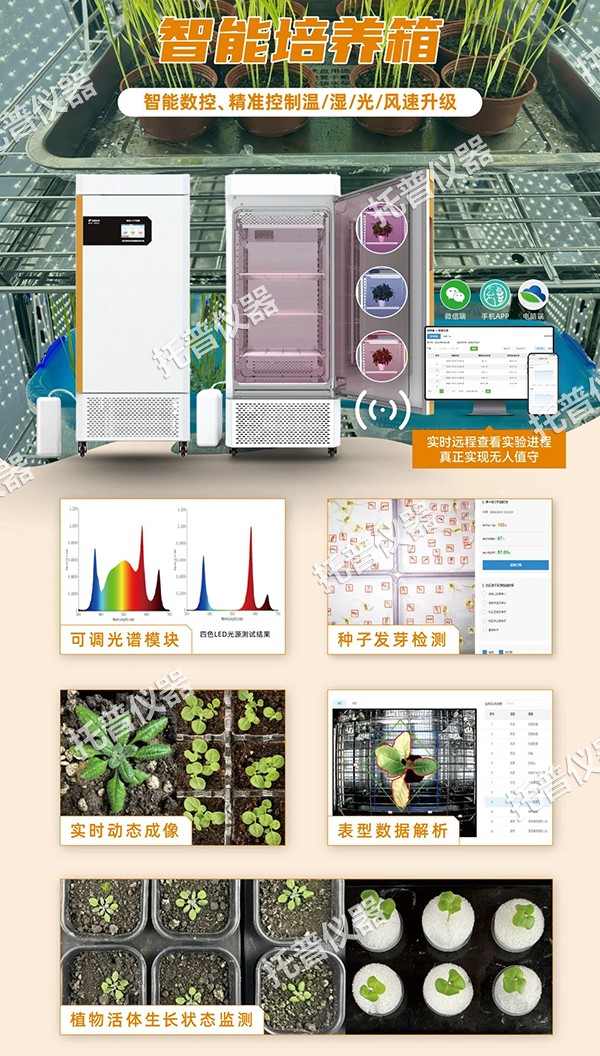 1742457892758420.jpg 5.jpg