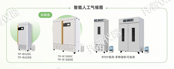 1754897548819007.png 圖片6.png