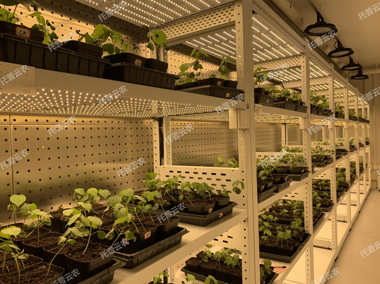 1773650242403562.png 圖片6.png