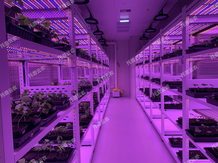 1773650293609147.png 圖片8.png