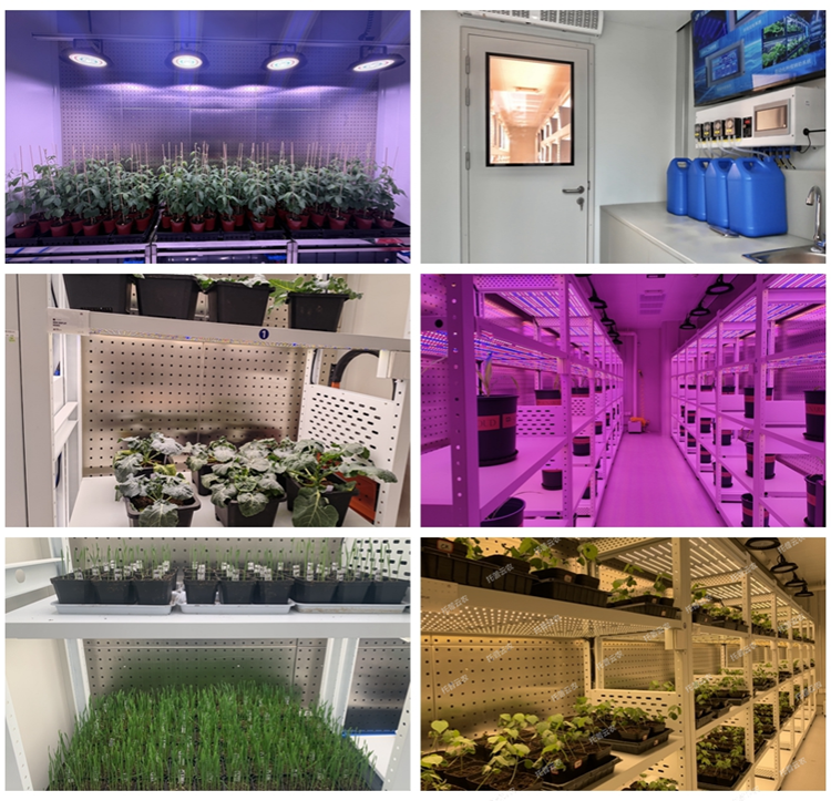 1776149910954544.png 639111535552262514135.png