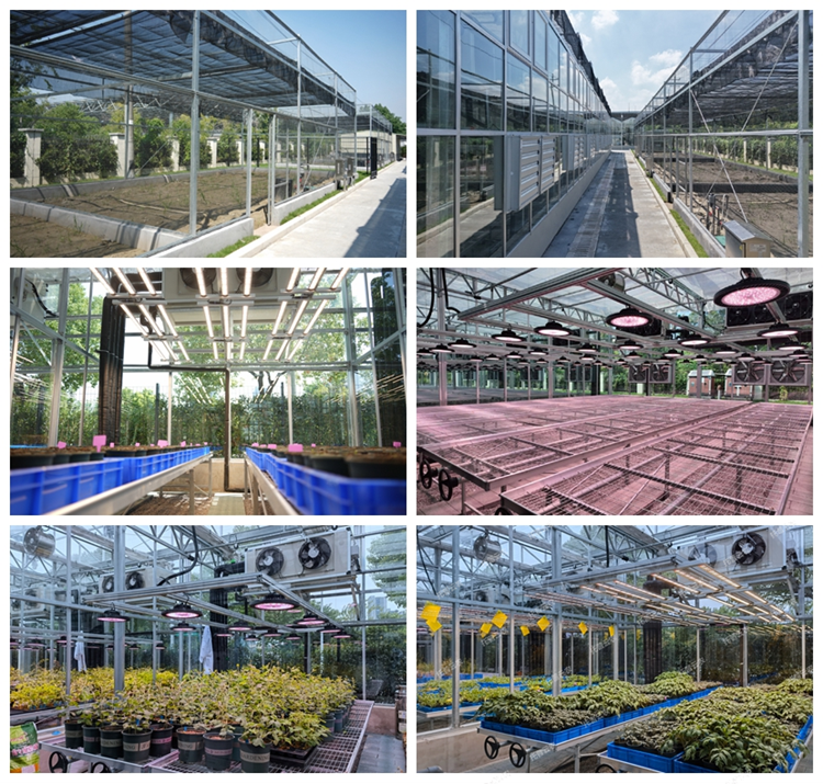 1776149943985444.png 639111535840933587278.png