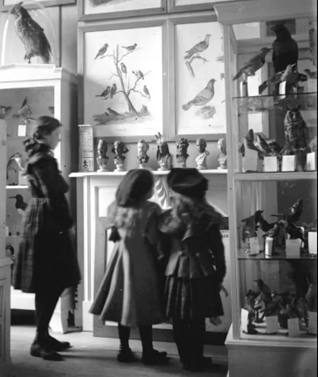 輕質(zhì)莫來石耐火澆注料